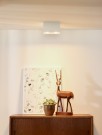 BODI Ceiling spot.-White-2xGU10-50W-Alumin. thumbnail