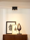 BODI Ceiling spot.-Black-2xGU10-50W-Alumin. thumbnail