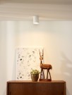 BODI Ceiling spot.-White-Ø8-1xGU10-50W-Alumin. thumbnail